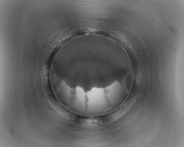 X0000110890366200906181250