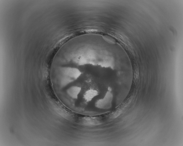 X0000110890367200906181250