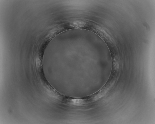 X0000110890371200906181250