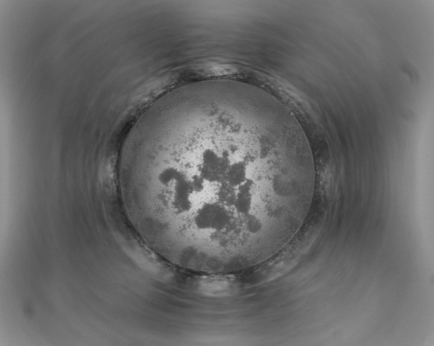X0000110890373200906181250