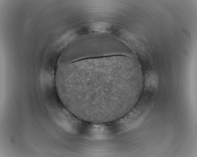X0000110890376200906181251