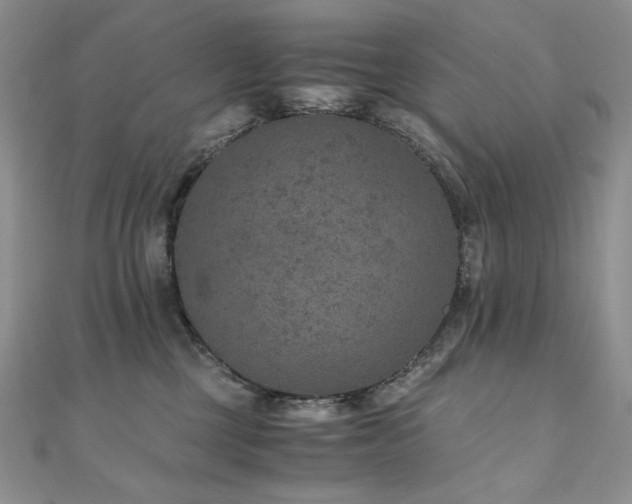 X0000110890377200906181251