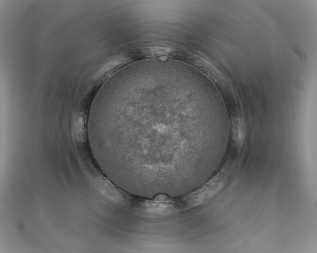 X0000110890378200906181251