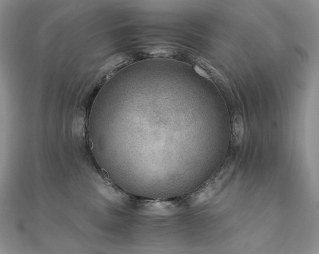 X0000110890379200906181251