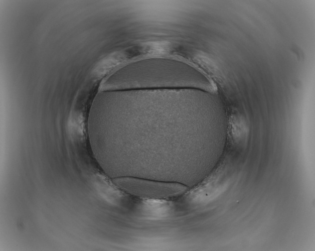 X0000110890380200906181251