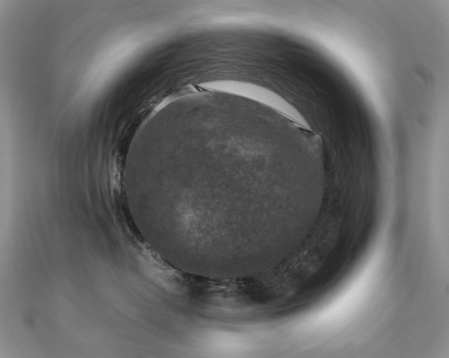 X0000110890382200906181251