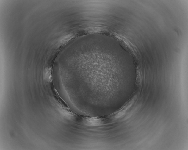 X0000110890383200906181251