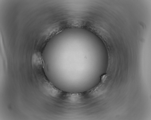 X0000110890384200906181251