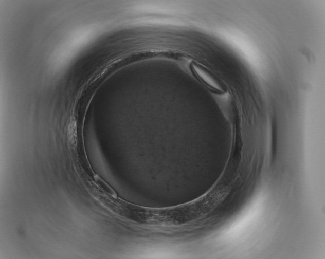 X0000110890387200906181250