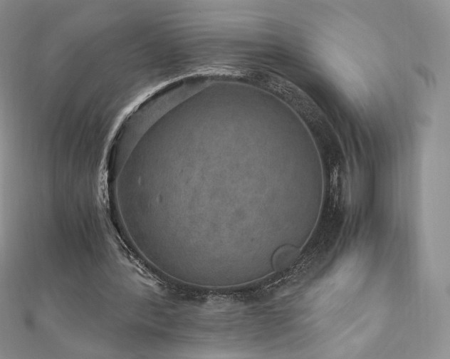 X0000110890388200906181250