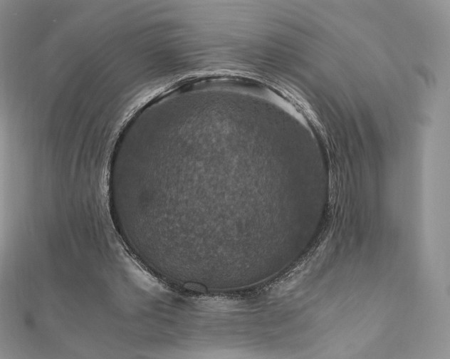 X0000110890389200906181250