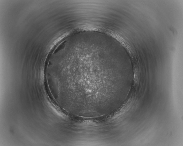 X0000110890390200906181250