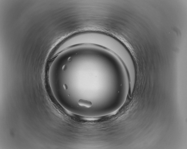 X0000110890391200906181250