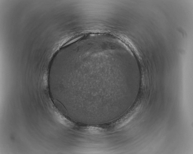 X0000110890393200906181250