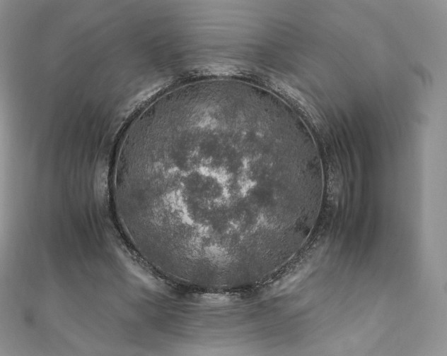 X0000110890394200906181250