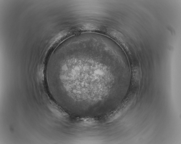 X0000110890395200906181250