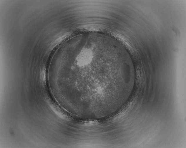 X0000110890398200906181250