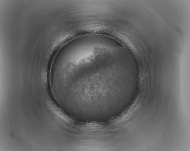 X0000110890399200906181250