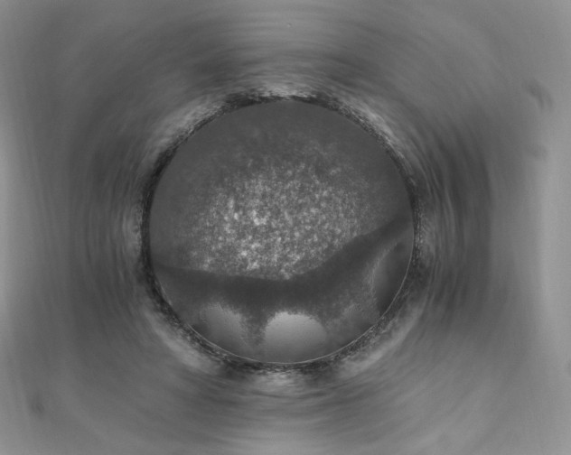 X0000110890402200906181250