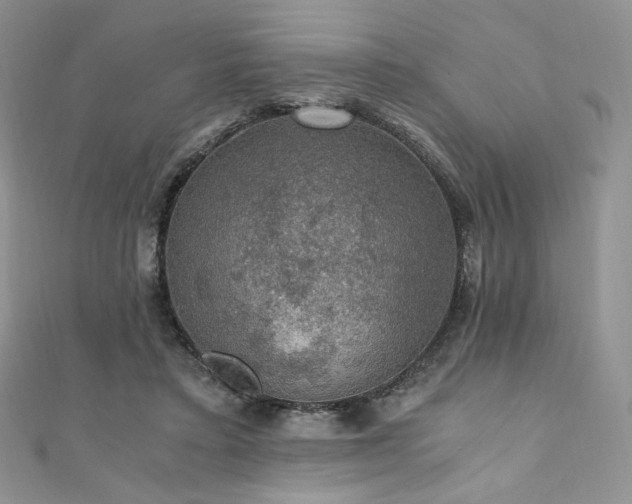 X0000110890403200906181250