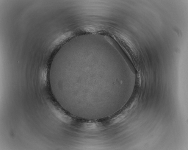 X0000110890404200906181250