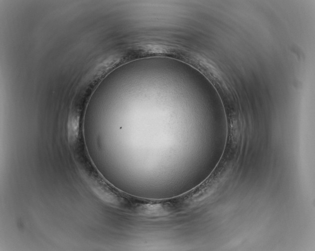 X0000110890406200906181250