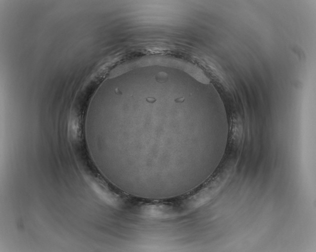 X0000110890408200906181250