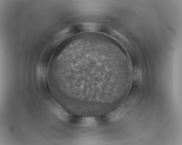 X0000110890409200906181250