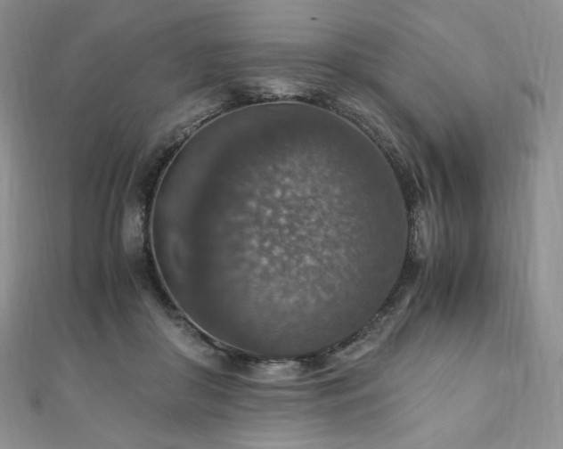 X0000110890410200906181250