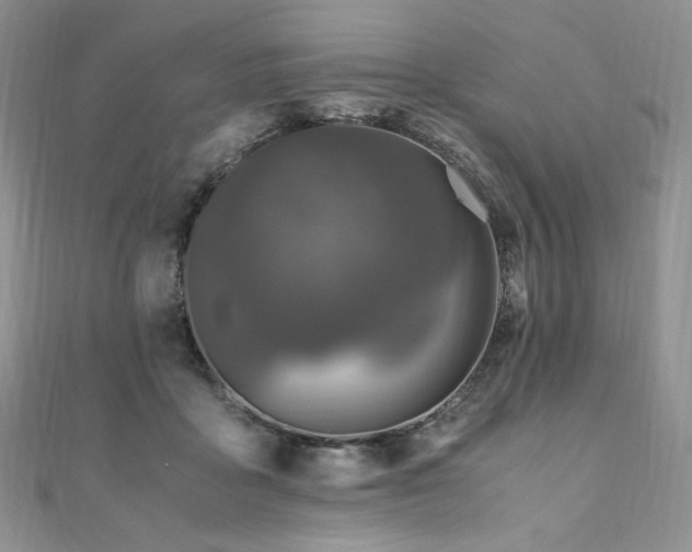 X0000110890411200906181250