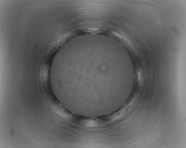X0000110890412200906181250