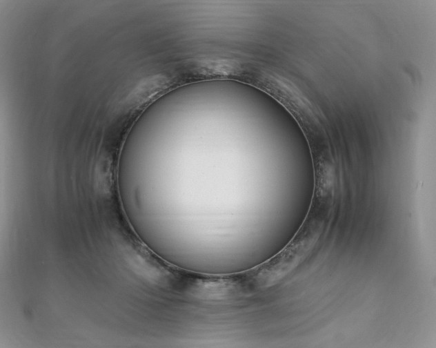 X0000110890414200906181250