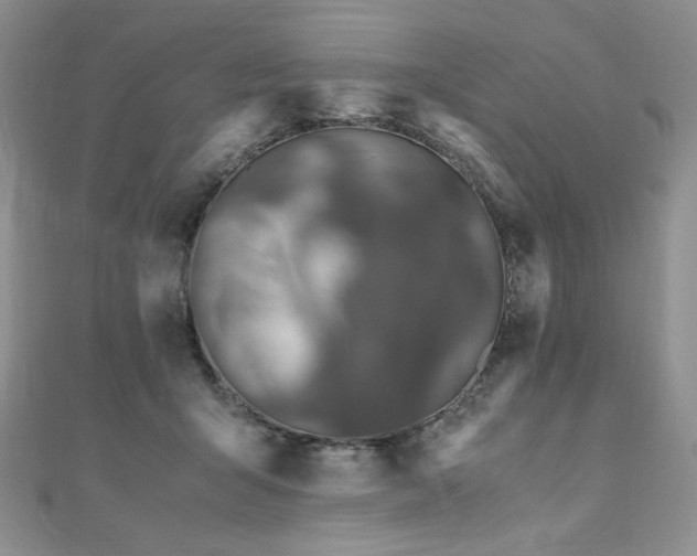 X0000110890415200906181250