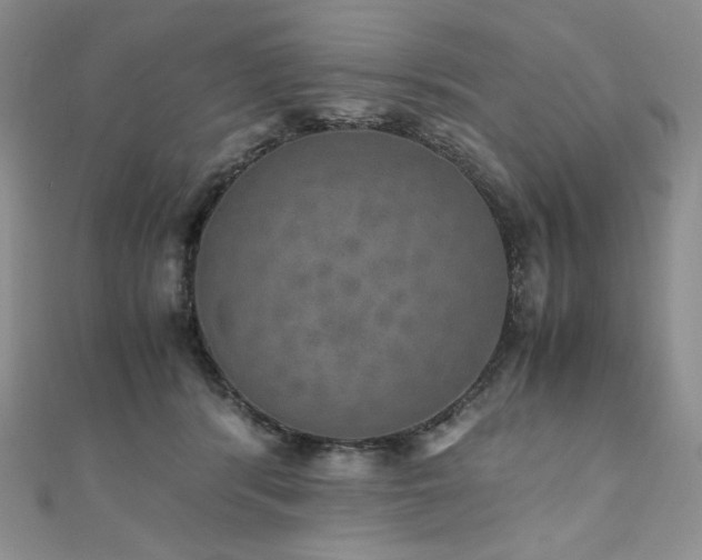 X0000110890416200906181250