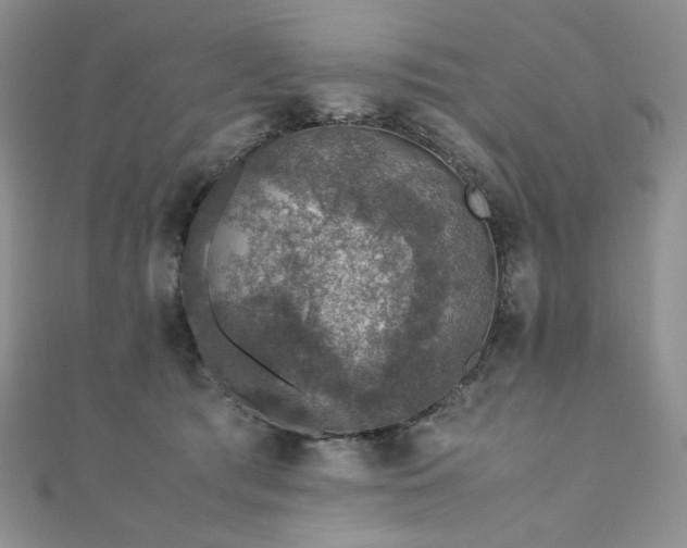 X0000110890417200906181250