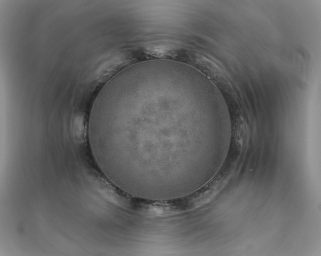 X0000110890420200906181250