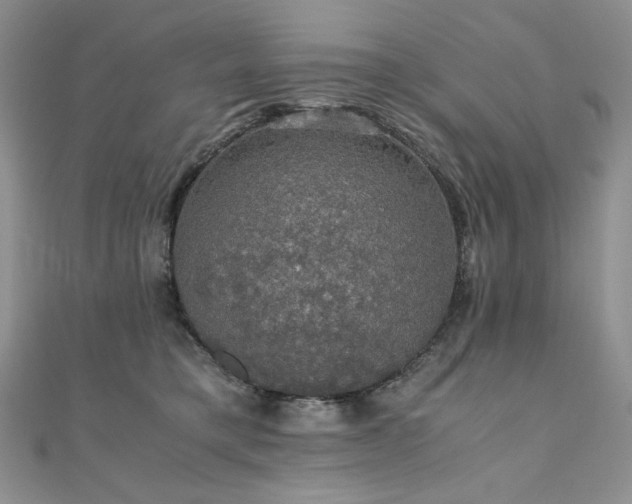 X0000110890421200906181250