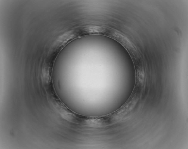 X0000110890422200906181250