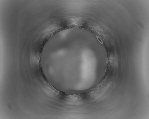 X0000110890423200906181250