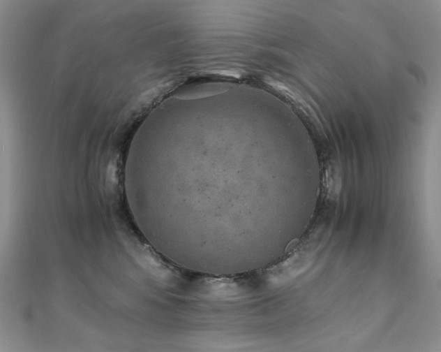 X0000110890424200906181250