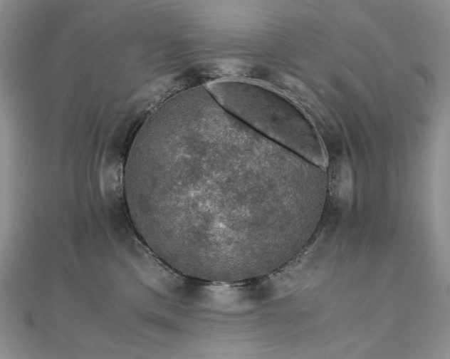 X0000110890425200906181249