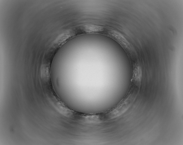 X0000110890426200906181249