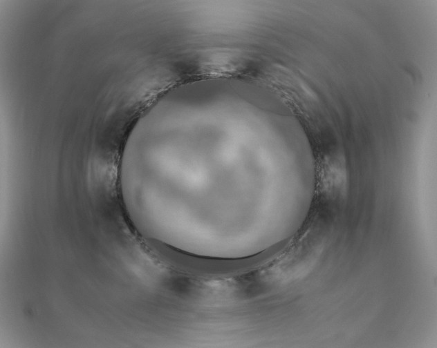 X0000110890427200906181249