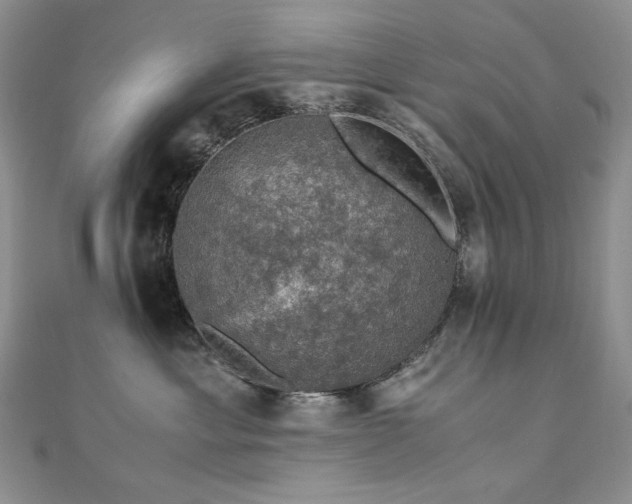 X0000110890429200906181249