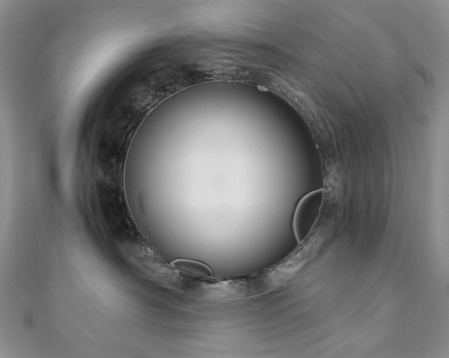 X0000110890430200906181249