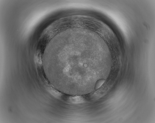 X0000110890431200906181249