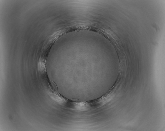 X0000110890432200906181249