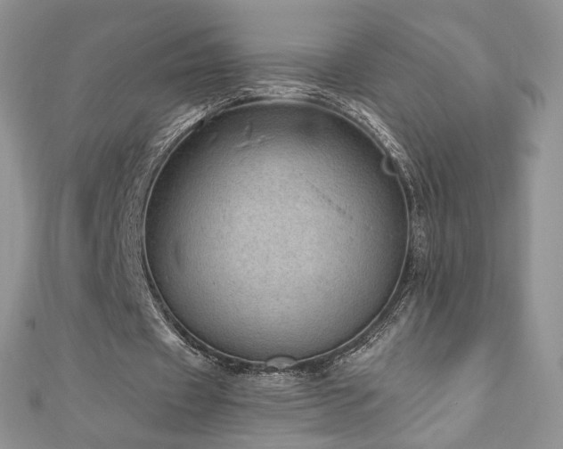 X0000110890433200906181249