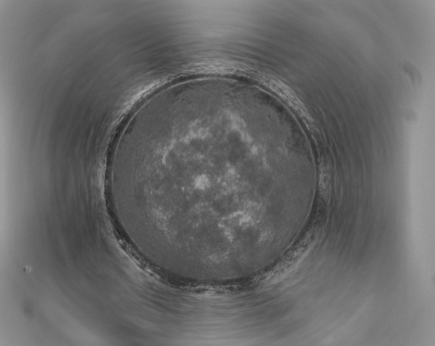 X0000110890434200906181249