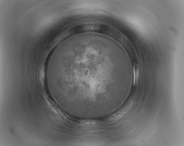 X0000110890435200906181249
